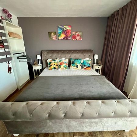 Dominic Apartment Unirii Square تيميشورا المظهر الخارجي الصورة