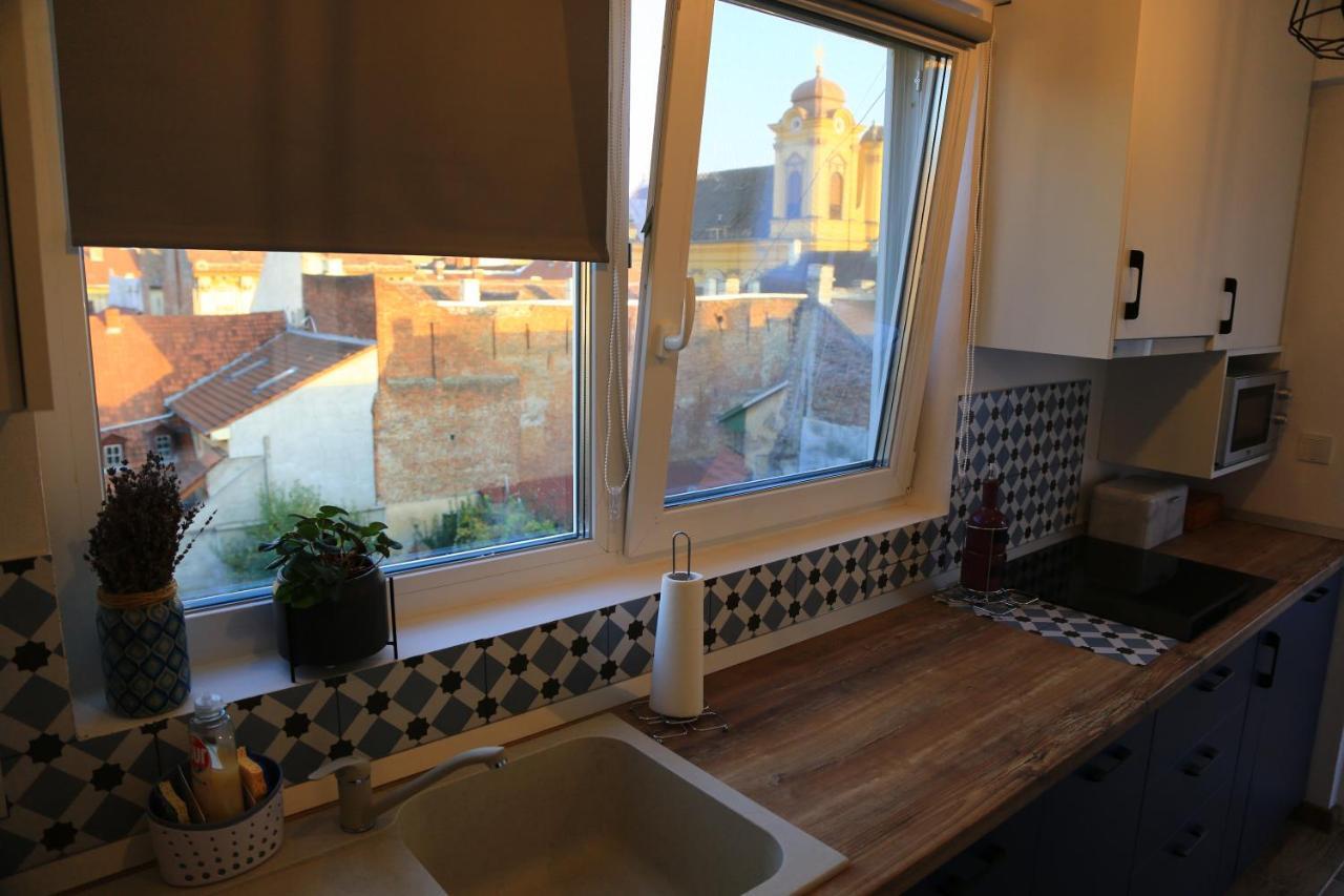 Dominic Apartment Unirii Square تيميشورا المظهر الخارجي الصورة