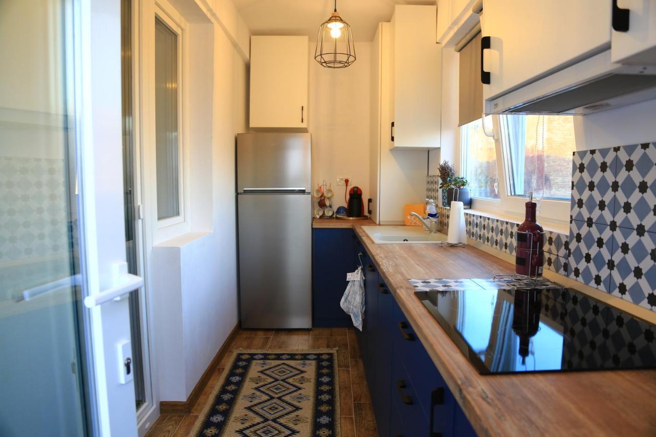 Dominic Apartment Unirii Square تيميشورا المظهر الخارجي الصورة